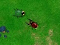 Jeu Beetle Wars