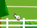 Jeu Chicken Impossible