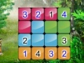 Jeu Wonderful Sudoku