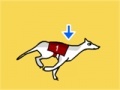 Jeu Greyhound Racer DX