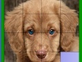 Jeu Blue eyed dog slide puzzle
