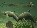 Game Big dolphins slide puzzle