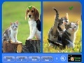 Jeu Pet Animals - Similarities