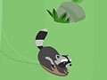 Jeu Feral Slalom