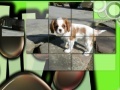 Jeu Pretty Puppies Puzzles