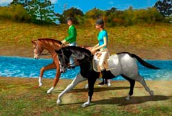 Jeux de cheval - jouer gratuitement sur Game -Game