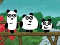 3 jeux de Pandas 