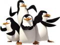 Madagascar jokoak Penguins 